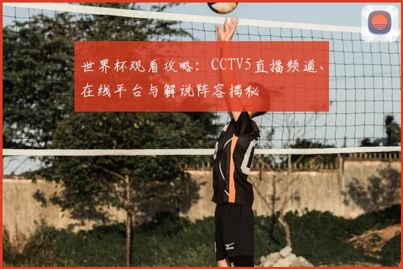 世界杯观看攻略：CCTV5直播频道、在线平台与解说阵容揭秘